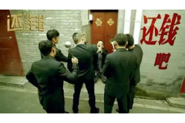 柏乡为什么选择专业追讨公司来处理您的债务纠纷？